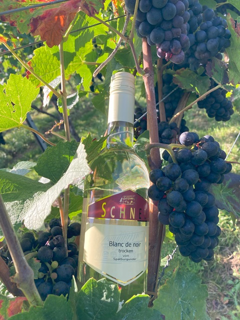 <br>2024er Blanc de noir<br>